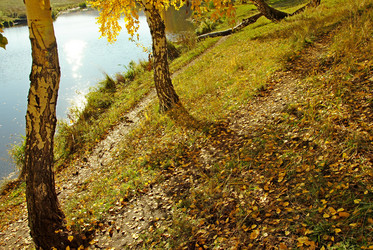 Similar image 1316888