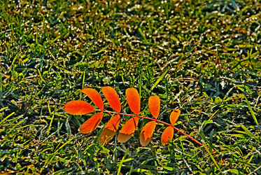 Similar image 1316889