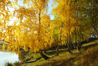 Similar image 1316890