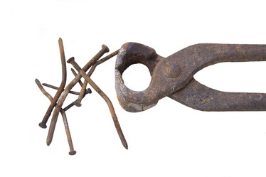 Similar image 1316892