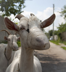 Similar image 1316976