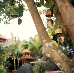 Similar image 1316990