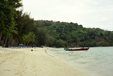 Similar image 1316994