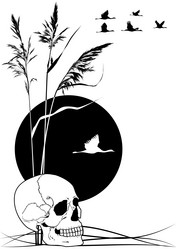 Similar image 1317034