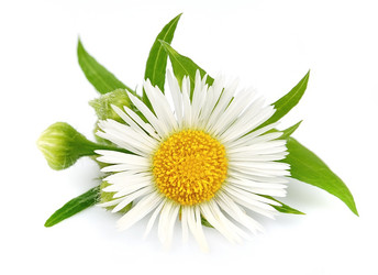 Similar image 1317048