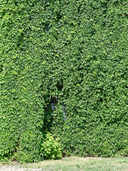 Similar image 1317059