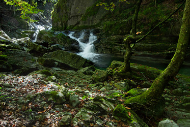 Similar image 1317072