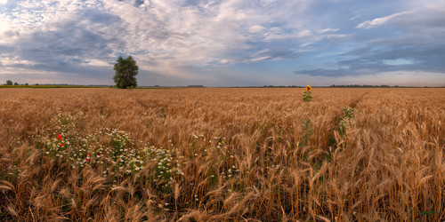 Similar image 1317075