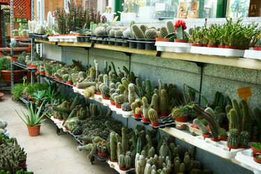 Similar image 1317123