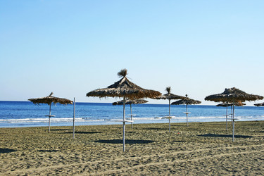 Similar image 1317134