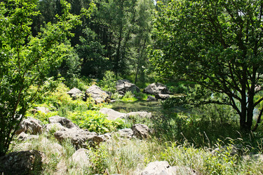 Similar image 1317141