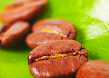 Similar image 1317218