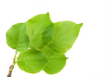 Similar image 1317233