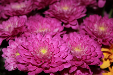 Similar image 1317364