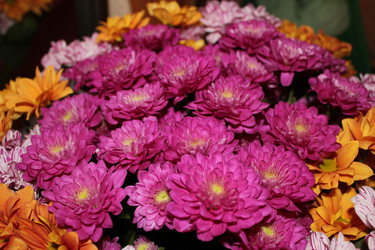 Similar image 1317365