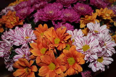 Similar image 1317366