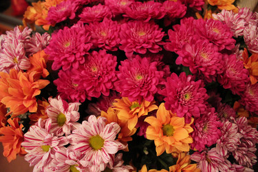 Similar image 1317367