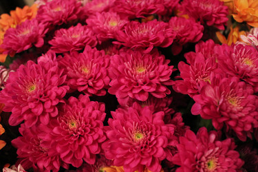 Similar image 1317368