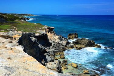 Similar image 1317374