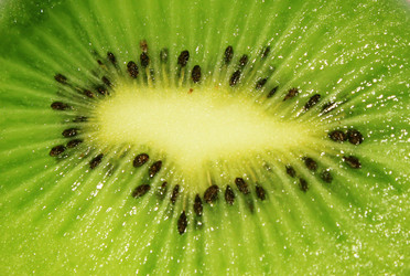 Similar image 1317377