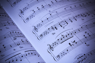 Similar image 1317382