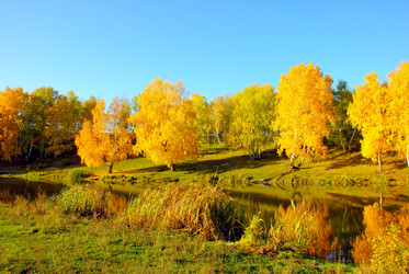 Similar image 1317383