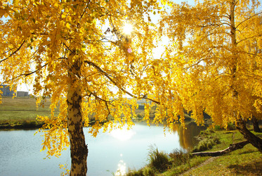 Similar image 1317384