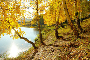 Similar image 1317386