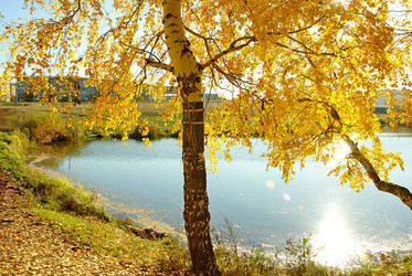 Similar image 1317387