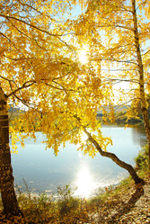 Similar image 1317389