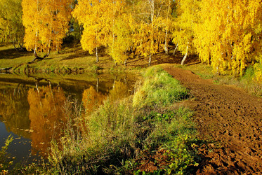 Similar image 1317390