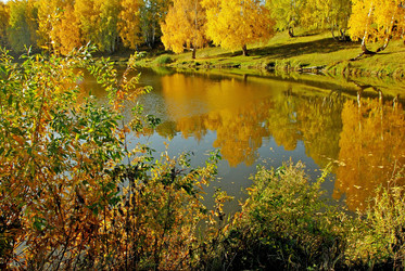 Similar image 1317391