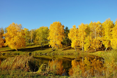 Similar image 1317392