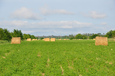 Similar image 1317401