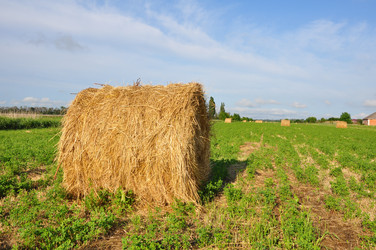 Similar image 1317402