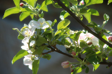 Similar image 1317420