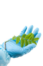 Similar image 1317431