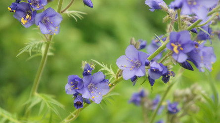 Similar image 1317441