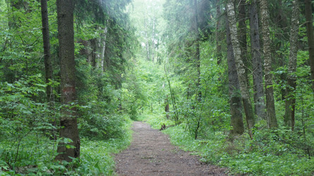 Similar image 1317442