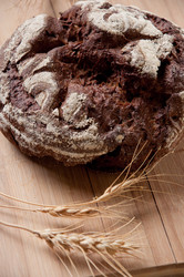 Similar image 1317445