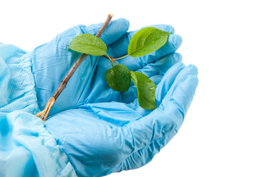 Similar image 1317458