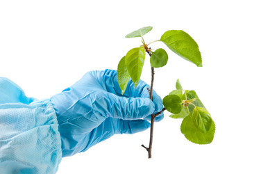 Similar image 1317459