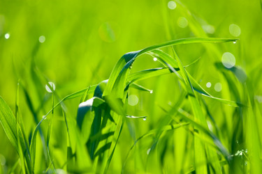 Similar image 1317465