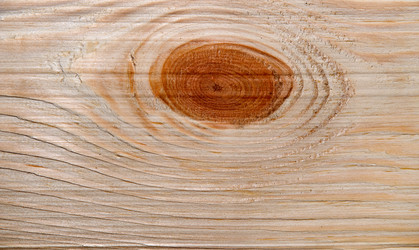 Similar image 1317487