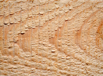 Similar image 1317488