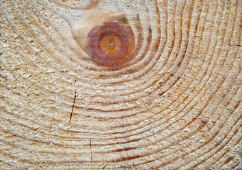 Similar image 1317489