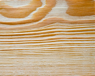 Similar image 1317490