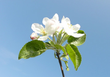 Similar image 1317493