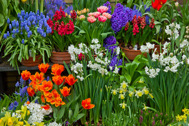 Similar image 1317495