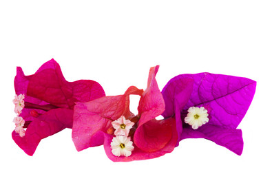 Similar image 1317515